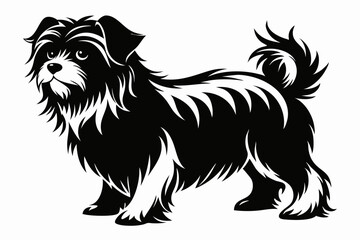 affenpinscher line art silhouette vector illustration