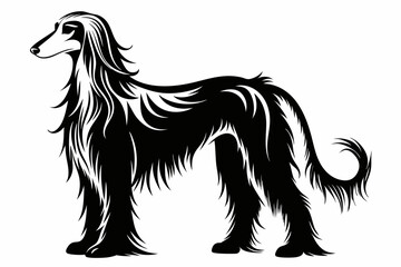 afghan hound line art silhouette vector illustration