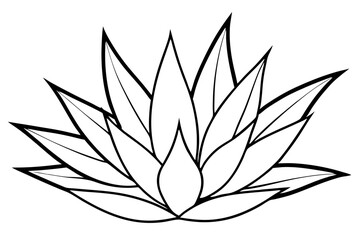 agave line art silhouette vector illustration