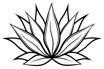 agave line art silhouette vector illustration