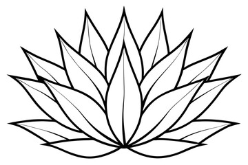 agave line art silhouette vector illustration