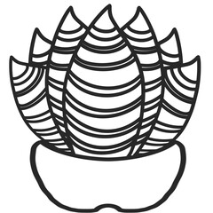 A delicate, hand-drawn cactus outline in minimalist style, illustration of a children's activity coloring book page with pictures of cactus. 