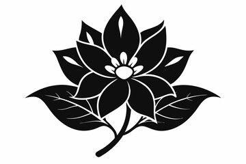 alpena flower line art silhouette vector illustration