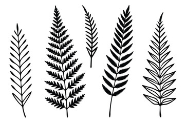 King Fern Leaf Line Art Design for Detailed Illustration Artwork