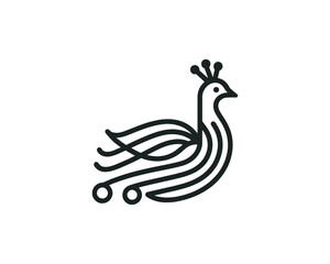 Peacock logo design icon symbol vector illustration. Peacock bird vector template.