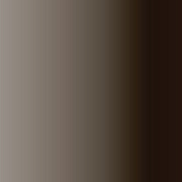 Silver Gradient Color