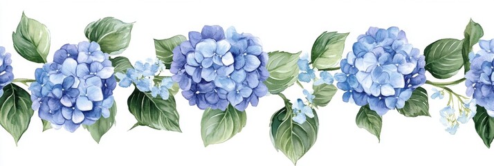 Delicate Hydrangea Border