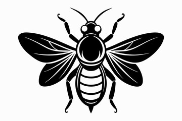 firefly bee line art silhouette vector illustration