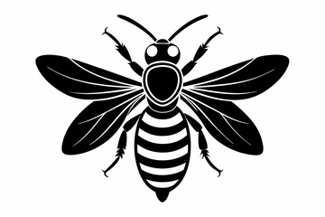 Obraz premium firefly bee line art silhouette vector illustration