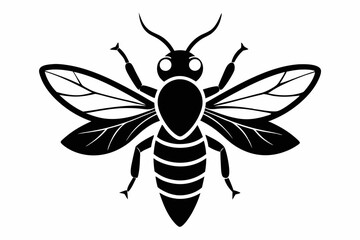 Obraz premium firefly bee line art silhouette vector illustration