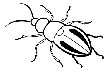 flea beetle line art silhouette vector illustration