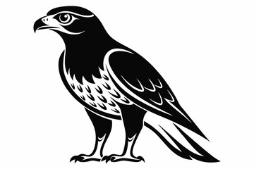 Fototapeta premium goshawk bird line art silhouette vector illustration