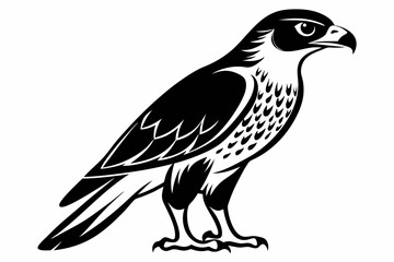 goshawk bird line art silhouette vector illustration