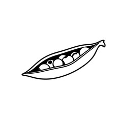 black outline vector of a fresh green pea pod with peas inside