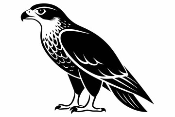 Obraz premium goshawk bird line art silhouette vector illustration