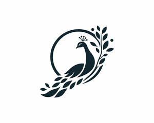 Peacock logo design icon symbol vector illustration. Peacock bird vector template.