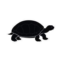 A tortoise silhouette vector illustration
