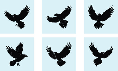 Obraz premium Flying Raven Silhouette vector