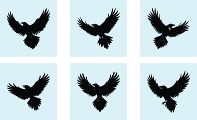 Obraz premium Flying Raven Silhouette vector