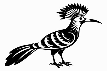 hoopoe bird line art silhouette vector illustration