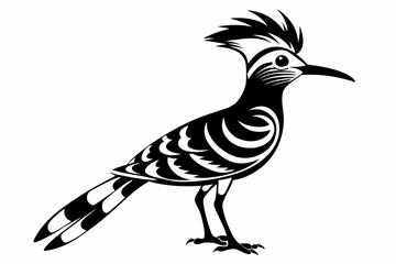 hoopoe bird line art silhouette vector illustration