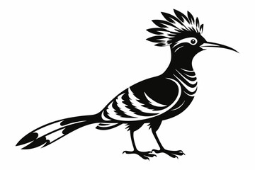 hoopoe bird line art silhouette vector illustration © Pinak