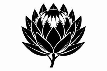 king protea flower line art silhouette vector illustration