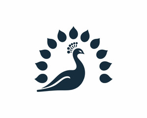 Peacock logo design icon symbol vector illustration. Peacock bird vector template.