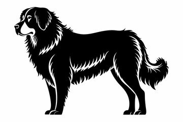 leonberger line art silhouette vector illustration