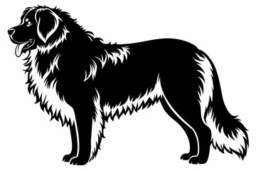 leonberger line art silhouette vector illustration