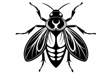 milkweed beetle line art silhouette vector illustration