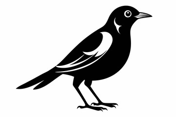 myna bird line art silhouette vector illustration
