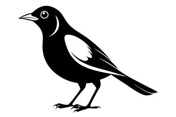 myna bird line art silhouette vector illustration