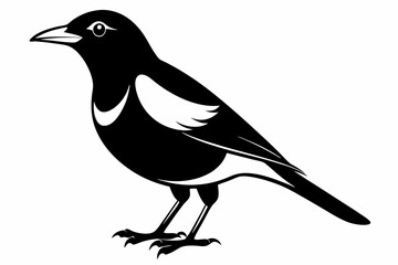 myna bird line art silhouette vector illustration