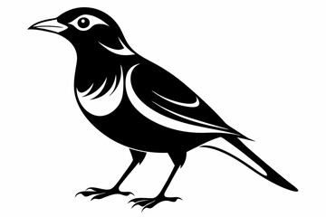 Fototapeta premium myna bird line art silhouette vector illustration