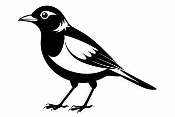 myna bird line art silhouette vector illustration