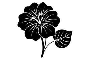 Fototapeta premium nasturtium flower line art silhouette vector illustration