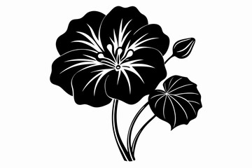 nasturtium flower line art silhouette vector illustration