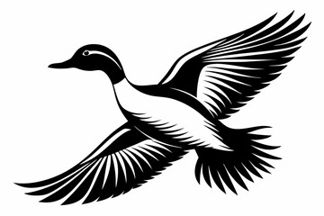pintail duck flying line art silhouette vector illustration