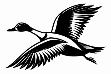 pintail duck flying line art silhouette vector illustration