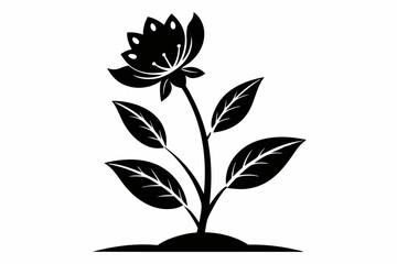 plant blossom flower line art silhouette vector illustration