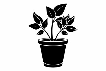 potted plant line art silhouette vector illustration
