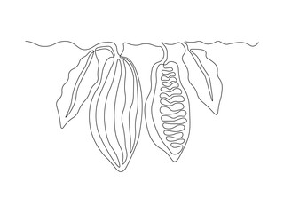 Obraz premium Cocoa beans on a branch, continuous single one line art hand drawing sketch logo
