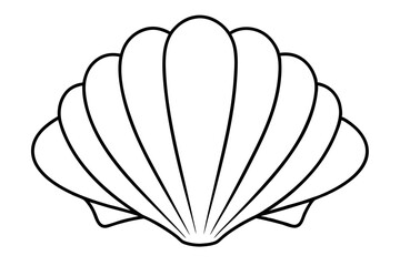 seashell line art silhouette vector illustration