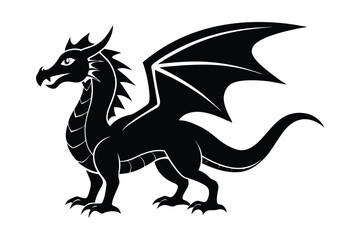 black and white dragon