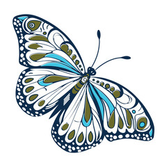  I created a Butterfly  vector with white background