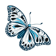  I created a Butterfly  vector with white background