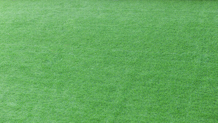 green grass background