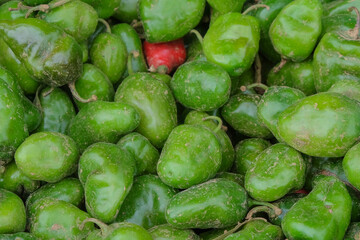 Background pattern and texture of fresh green peppers at the market.Agriculture industry concept.For graphic design,3D rendering and banner background