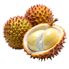 Obraz premium Duku fruit isolated on transparent background 